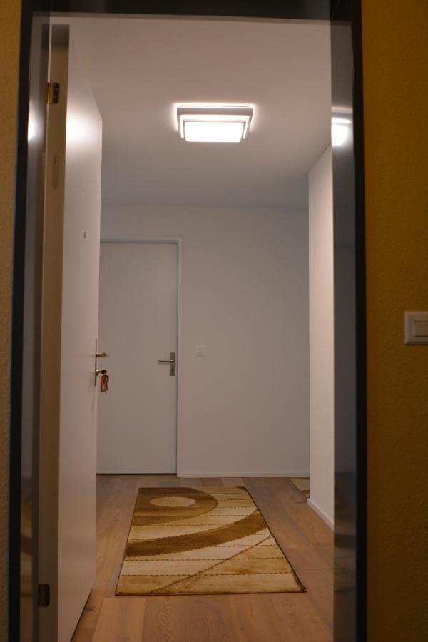 Great New Apartment Surrounded By Nature. Schattdorf Buitenkant foto